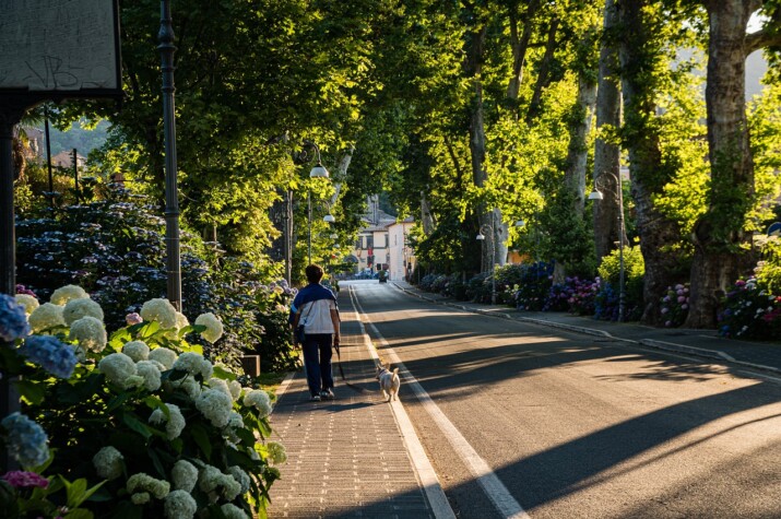 Beyond the Tourist Spots: Hidden Istanbul