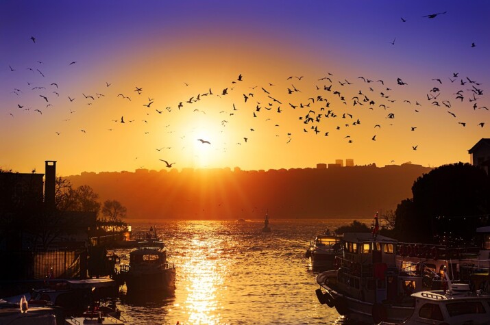Discover Istanbul’s Best Parks and Green Spaces