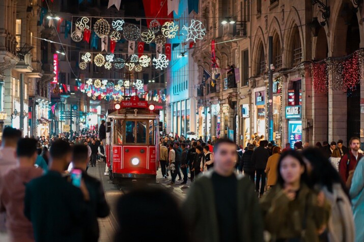 Istanbul: A City of Bridges