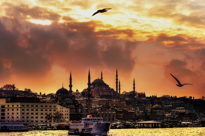 Istanbul: A City of Forests