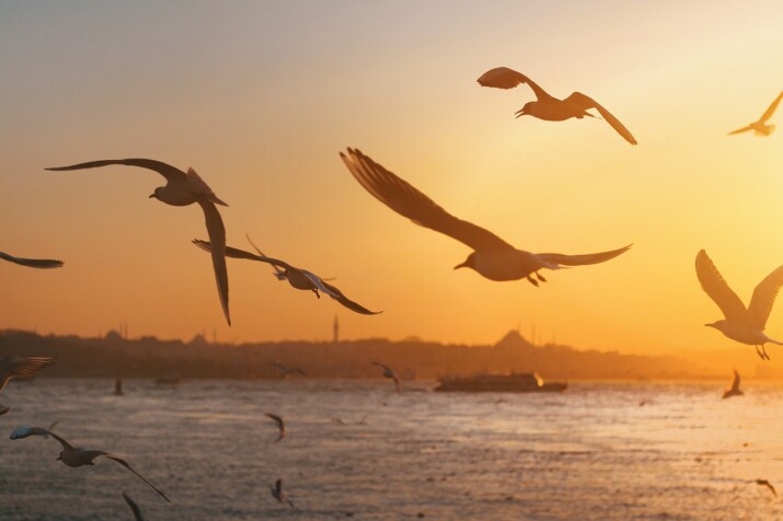 Istanbul: A City of Legends